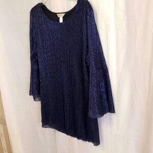 Shimmery Blue Blouse